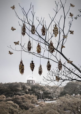 �u�݂̂ނ��v�V���[�Y